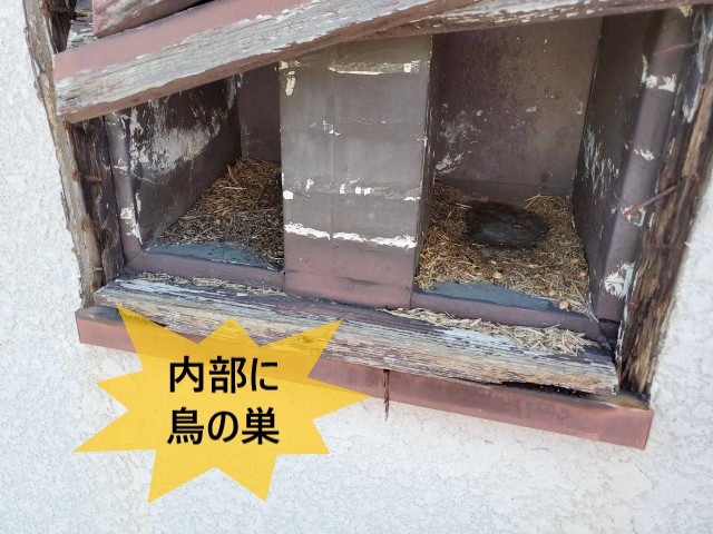 換気口　内部に鳥の巣
